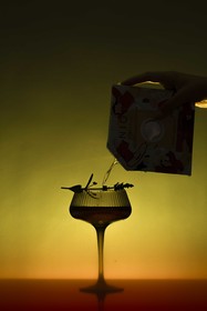 En collaboration avec Elisa Juge-Holtermann